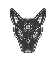 Coyote Ibiza