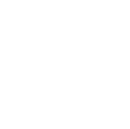 Coyote Ibiza