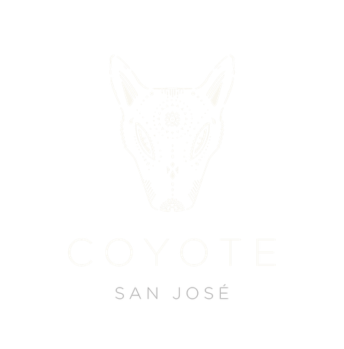 Coyote Ibiza
