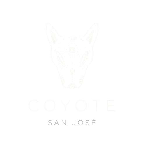 Coyote Ibiza
