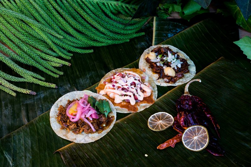 Taco o Patacón Cochinita