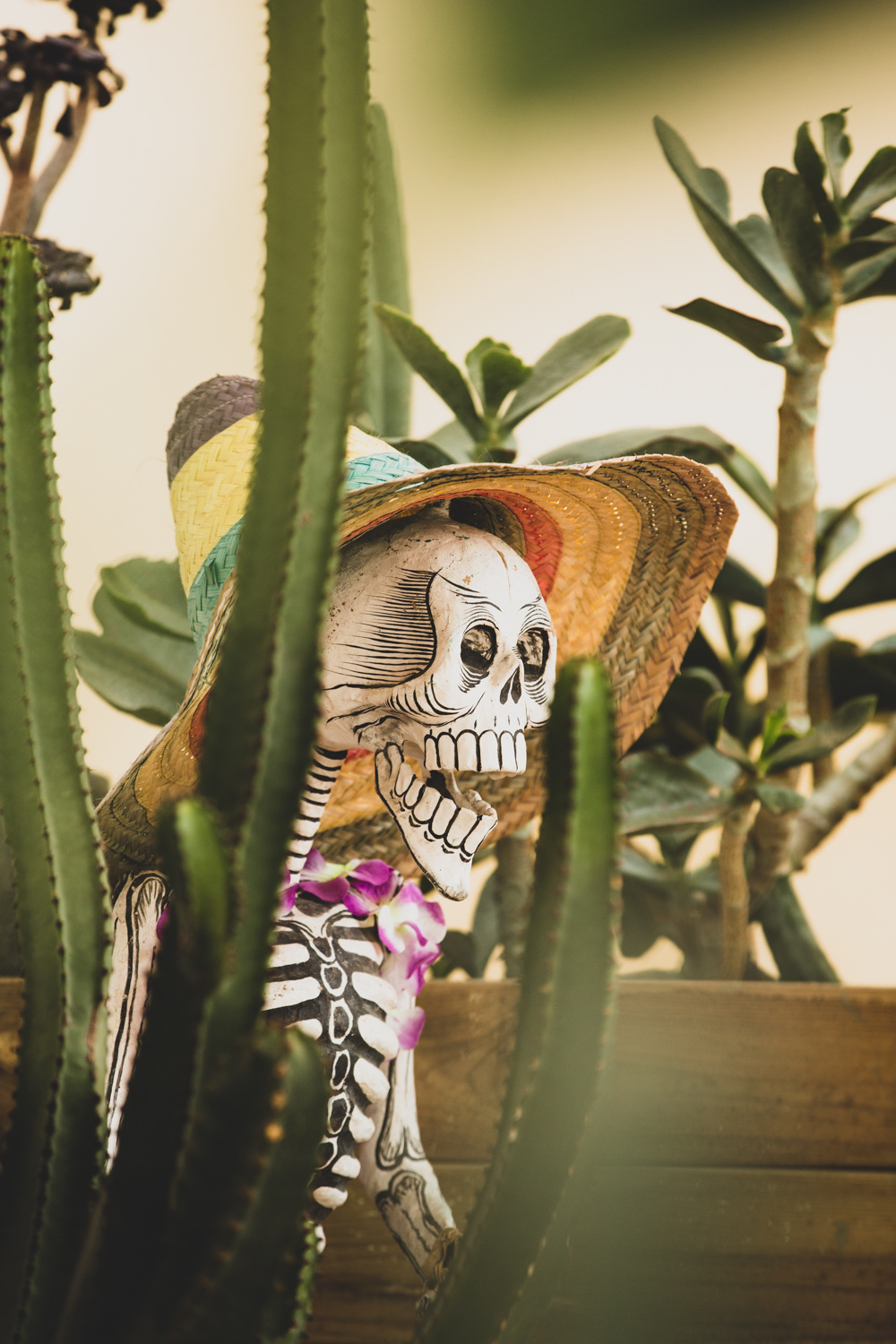 Día de Muertos — Cena Especial
