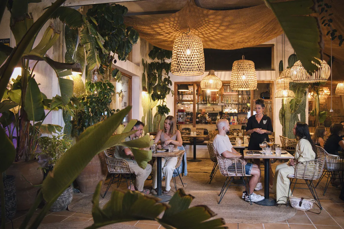 Sala con piante e lampade di rattan