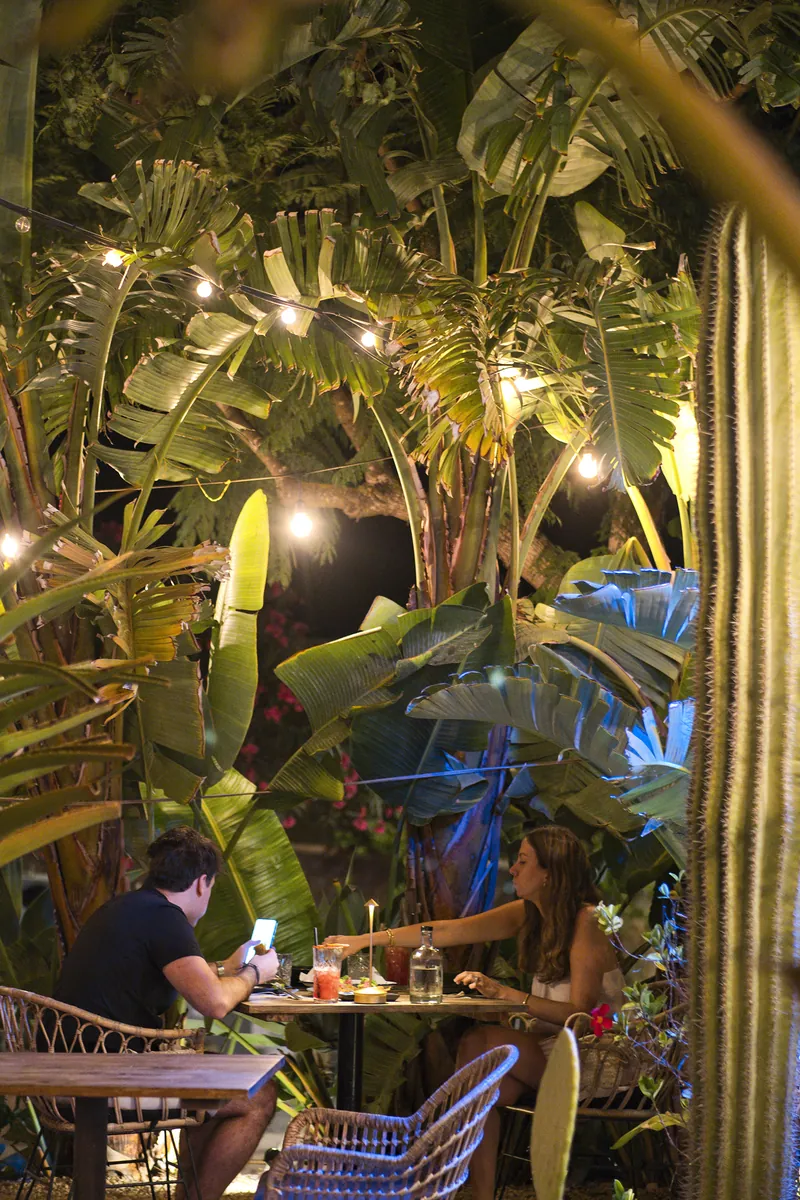 Um casal à mesa entre folhas de bananeira e luzes suspensas